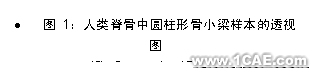 文本框: •	圖 1:人類脊骨中圓柱形骨小梁樣本的透視圖  (Ø= 8 mm , L= 15 mm)  