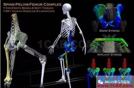 基于ANSYS Workbench的地震作用下的高層建筑的響應(yīng)譜分析ansys分析案例圖片1