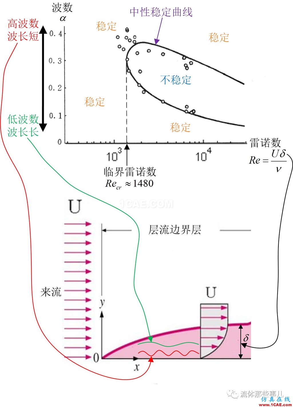 層流為何會(huì)轉(zhuǎn)變?yōu)橥牧鳎和袪柮?施利希廷波的故事fluent圖片5