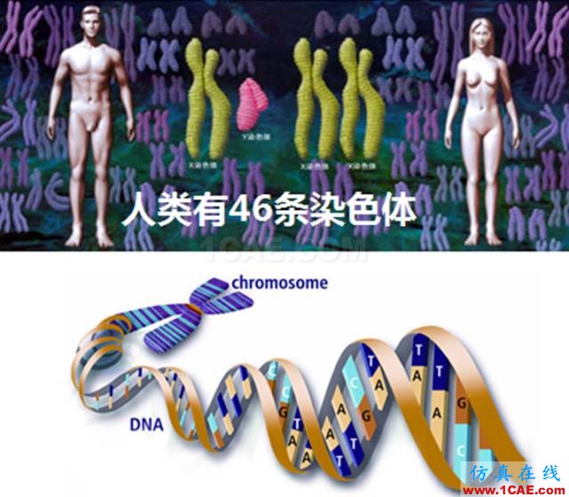 【資訊】強(qiáng)勢圍觀！Science公布的125個(gè)科學(xué)前沿問題!圖片3