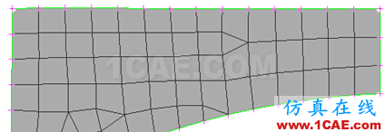 ANSA多樣的網(wǎng)格生成算法ANSA應用技術圖片1